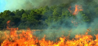 Επίσκεψη στα πύρινα μέτωπα