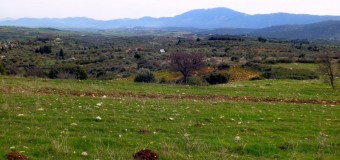 Φορολόγηση αγροτεμαχίων και οικοπέδων
