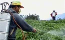 Πολύ υψηλές οι τιμές των φυτοφαρμάκων στην χώρα μας