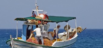 Ανασυγκρότηση νέων συλλόγων και ανανέωση επαγγελματικών αδειών των λειτουργούντων
