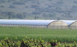 Χρηματοδότηση σχεδίων βελτίωσης και εκσυγχρονισμού γεωργικών εκμεταλλεύσεων