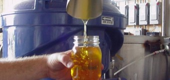 Κατηγοριοποίηση του ειδικού φόρου κατανάλωσης της παραγόμενης από υγρή βιομάζα ενέργειας (χρησιμοποιημένα φυτικά έλαια- μη βρώσιμα σπορέλαια)