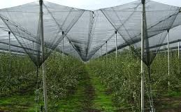 Στον ΕΛΓΑ και στο Υπουργείο Αγροτικής Ανάπτυξης για τα αντιχαλαζικά δίχτυα