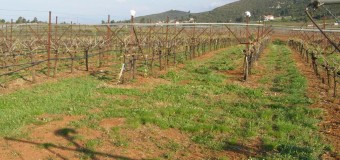 Αγροτική οικονομία και κλιματικές αλλαγές