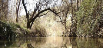 Καταβολή αποζημιώσεων για την αναγκαστική απαλλοτρίωση εδαφικών εκτάσεων για το έργο Φράγμα Ασωπού Ποταμού