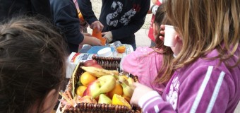 Την άμεση αξιοποίηση των ευρωπαϊκών προγραμμάτων διανομής γάλακτος και φρούτων στα σχολεία ζητάνε με ερώτησή τους ο Χρίστος Δήμας και 33 ακόμη βουλευτές της Ν.Δ.