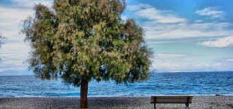 Άμεση κατάθεση νομοθετικής ρύθμισης για την παραχώρηση των παραλιών στους δήμους