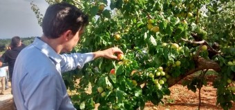 Ερώτηση για τις απαράδεκτες καθυστερήσεις στην καταβολή αποζημιώσεων του ΕΛΓΑ