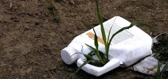 Ανάληψη δράσης για τη χρήση φυτοφαρμάκων στην Ελλάδα