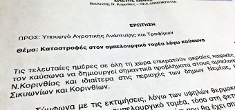 Καταστροφές στον αμπελουργικό τομέα λόγω καύσωνα