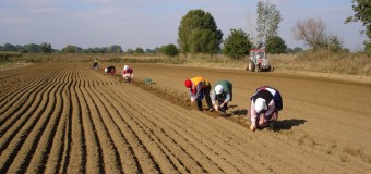 Ερώτηση στον Υπουργό Αγροτικής Ανάπτυξης για την αναγνώριση των νέων συνεταιρισμών και των ομάδων παραγωγών
