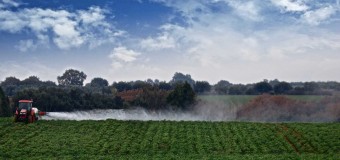 ΑΝΑΦΟΡΑ | Δηλώσεις συγκομιδής αμπελουργικών προϊόντων