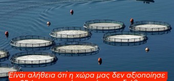 ΕΡΩΤΗΣΗ | Απορρόφηση πόρων από το Ταμείο Ναυτιλίας και Αλιείας