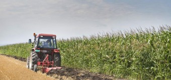 ΕΡΩΤΗΣΗ | Στάση πληρωμών της Κυβέρνησης στους ανταποκριτές του ΕΛΓΑ