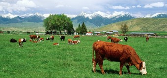 ΕΡΩΤΗΣΗ | Συνεχείς παλινωδίες του ΥΠΑΑΤ για το Μέτρο «Βιολογικές Καλλιέργειες και εμπαιγμός χιλιάδων δικαιούχων