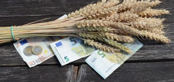 ΕΡΩΤΗΣΗ | Αναξιοποίητες έτοιμες λύσεις για την ισχυροποίηση του ΕΛΓΑ