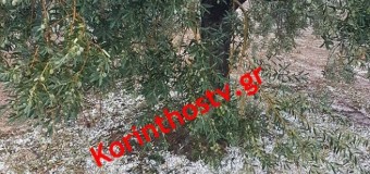 ΔΕΛΤΙΟ ΤΥΠΟΥ | Συνάντηση στον ΕΛΓΑ για τις ζημιές από τη χαλαζόπτωση