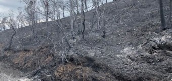 ΔΕΛΤΙΟ ΤΥΠΟΥ | Ο Χρίστος Δήμας στις πυρόπληκτες περιοχές